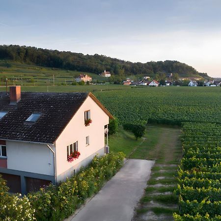 Ferienwohnung Mit 65Qm Niederrotweil Bagian luar foto
