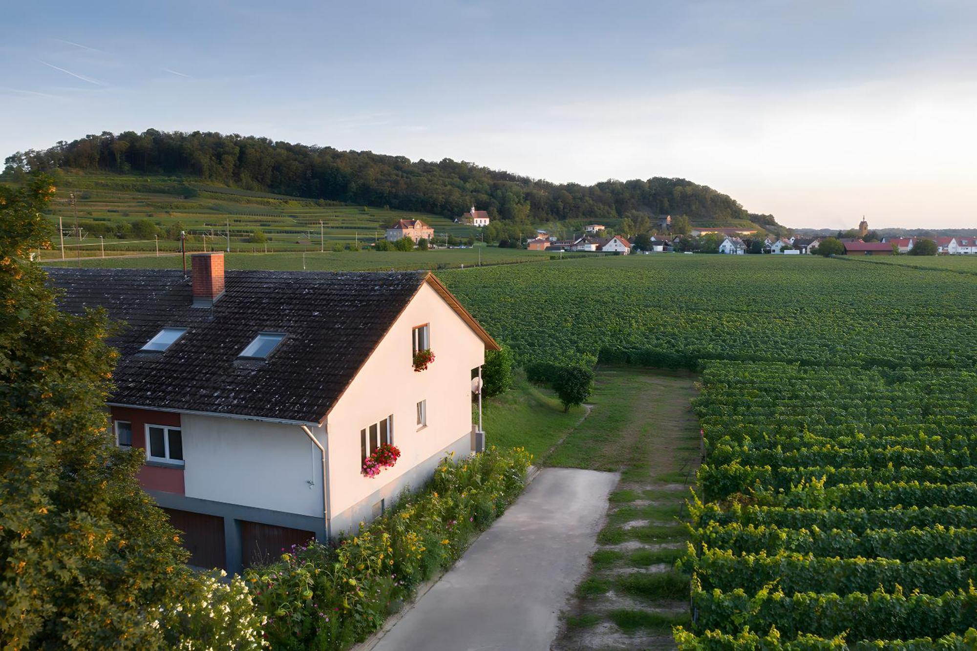 Ferienwohnung Mit 65Qm Niederrotweil Bagian luar foto
